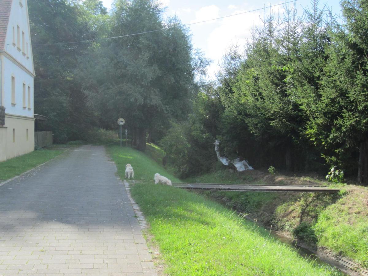 Ferienhaus zum Nautzschketal mit Fewo Uta und Fewo Regina Grobitz Exterior foto