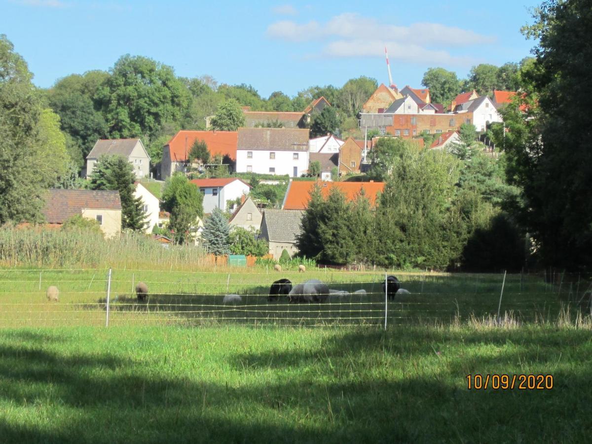 Ferienhaus zum Nautzschketal mit Fewo Uta und Fewo Regina Grobitz Exterior foto