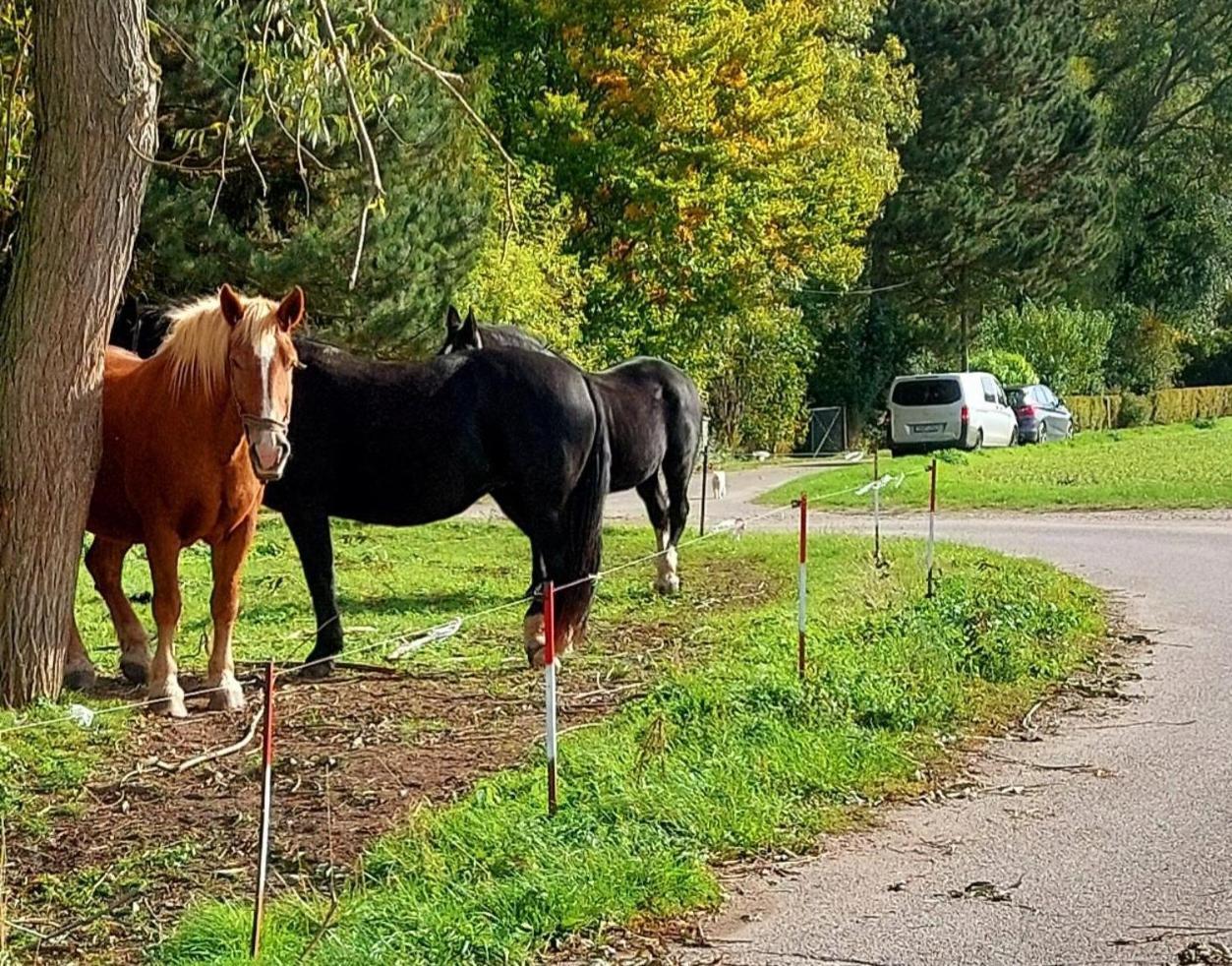 Ferienhaus zum Nautzschketal mit Fewo Uta und Fewo Regina Grobitz Exterior foto