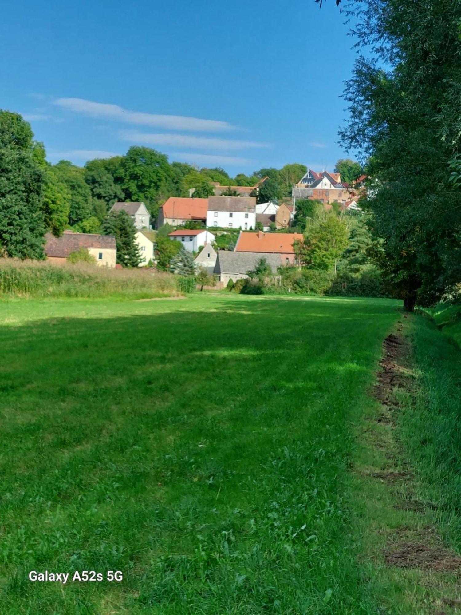 Ferienhaus zum Nautzschketal mit Fewo Uta und Fewo Regina Grobitz Exterior foto